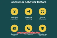consumer behavior